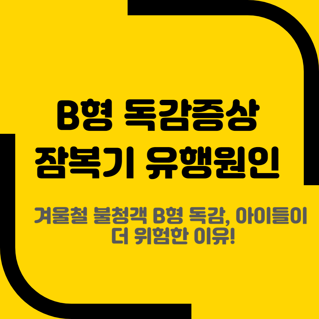 B형 독감증상 잠복기 유행원인