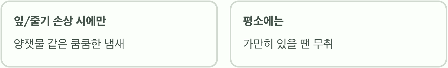 이름에 담긴 오해, 냄새의 범인은?