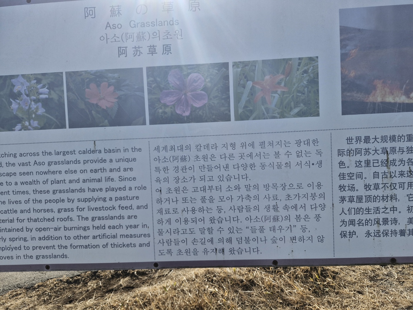 후쿠오카 여행기 # 3일차 아소산 관광가이드