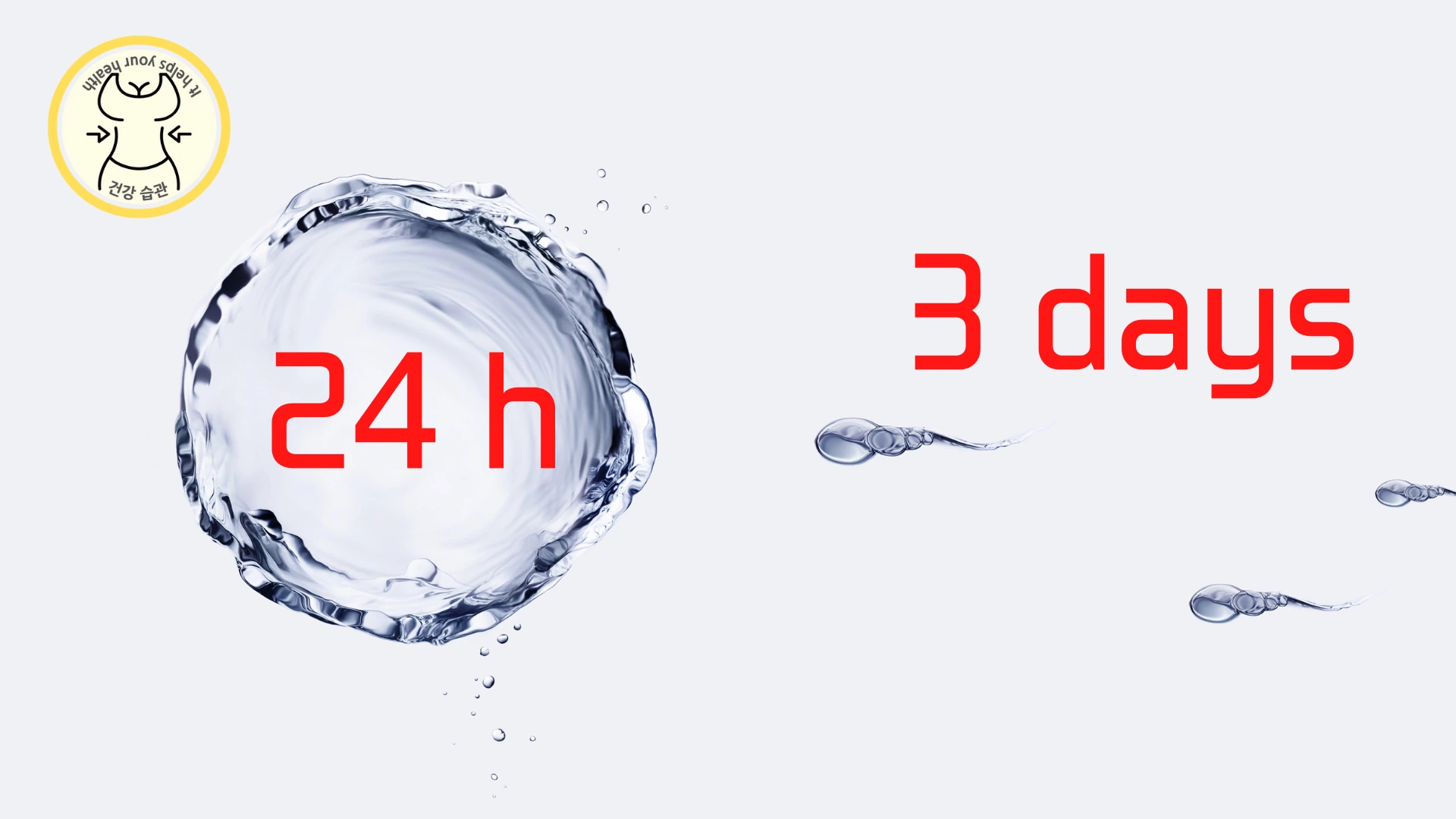 난자와 정자의 수명