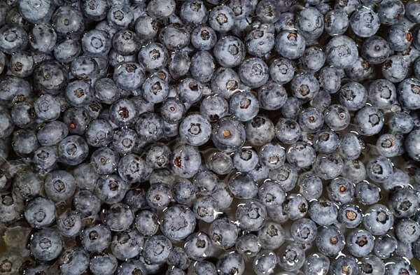 블루베리씻는법