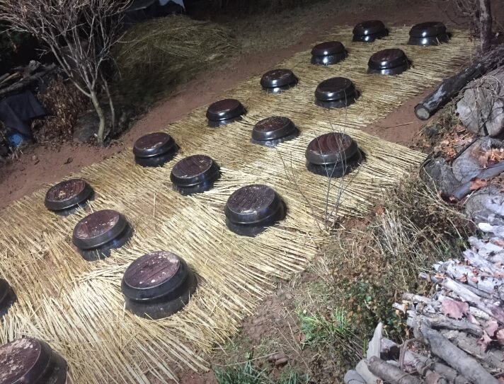생생정보 고수의 부엌 곤지암 화담숲 근처 묵은지 등갈비찜과 석쇠불고기 맛집 곤지암 웅골