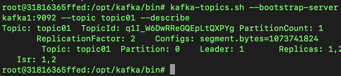 kafka topic describe