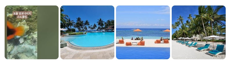 보홀 팡라오 섬 알로나 비치의 스노클링 장면과 해변 리조트, 선베드, 인피니티 풀 등 휴양지 전경을 담은 이미지
