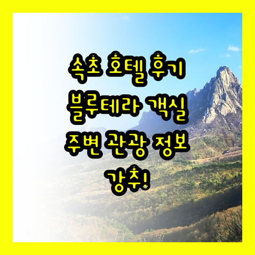 속초 호텔더블루테라 객실 후기와 주변