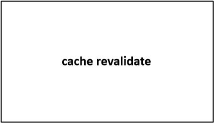 cache revalidate