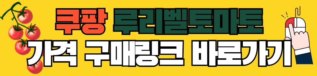 루비벨-토마토-가격-맛-파는곳-미백-자외선차단-효능