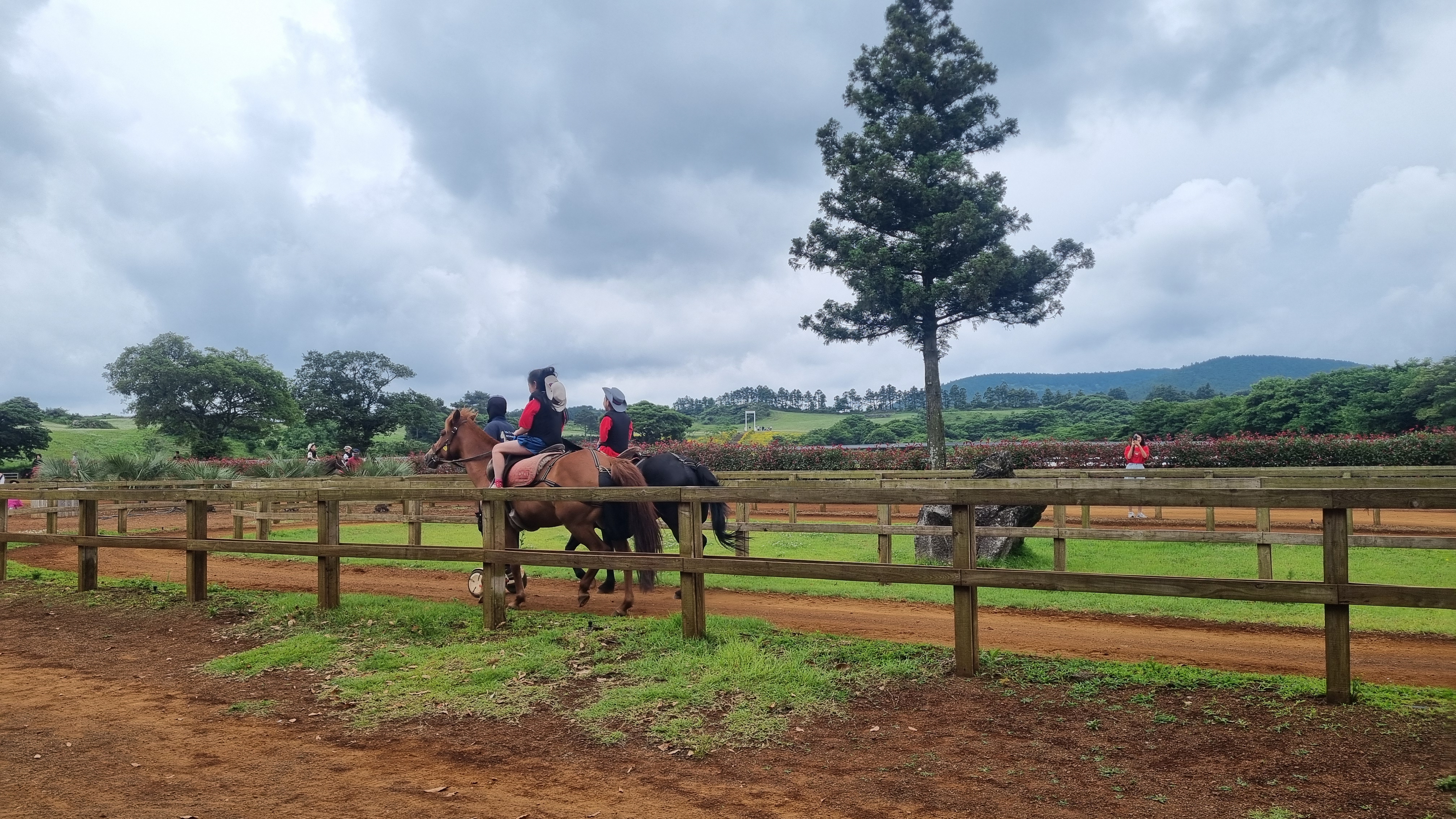 제주 목장카페 밭디