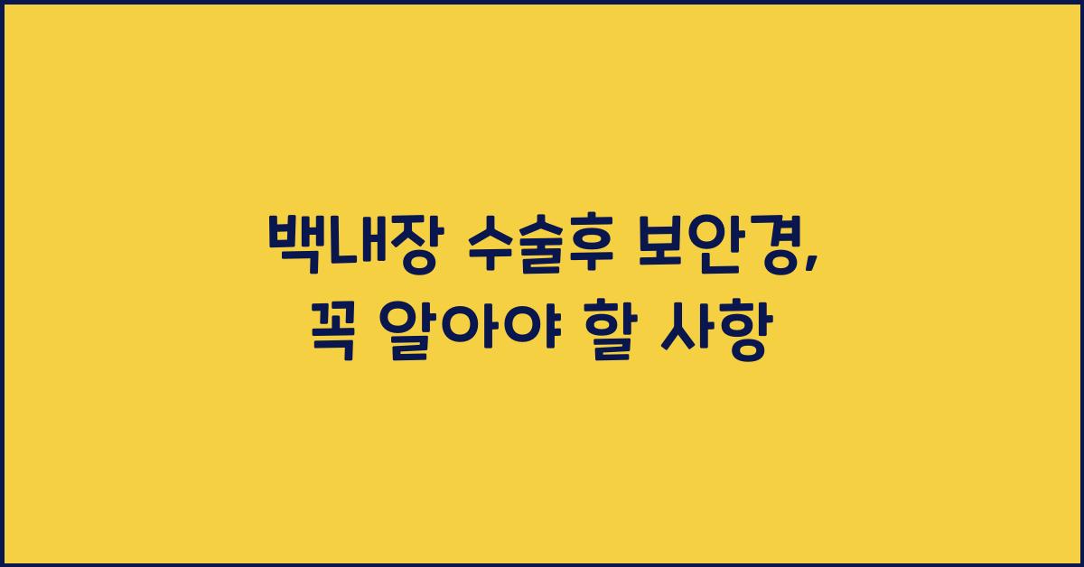 백내장 수술후 보안경