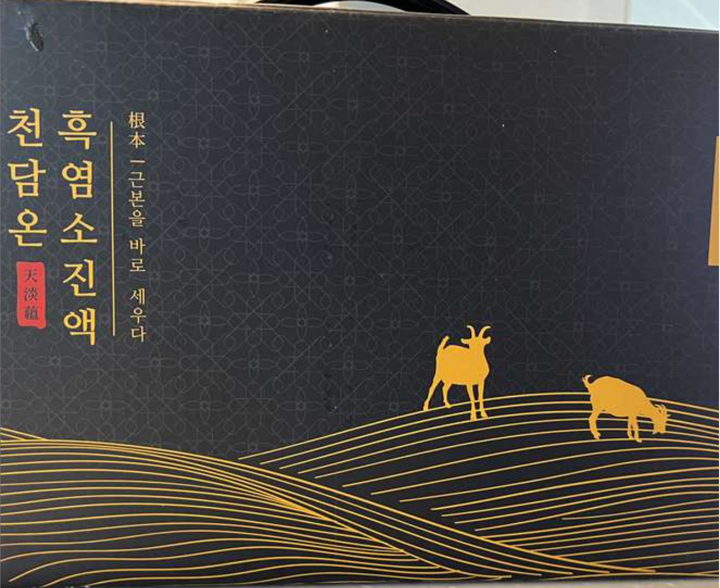 천담온 흑염소진액이란?