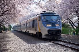 2024 근로자휴가지원사업