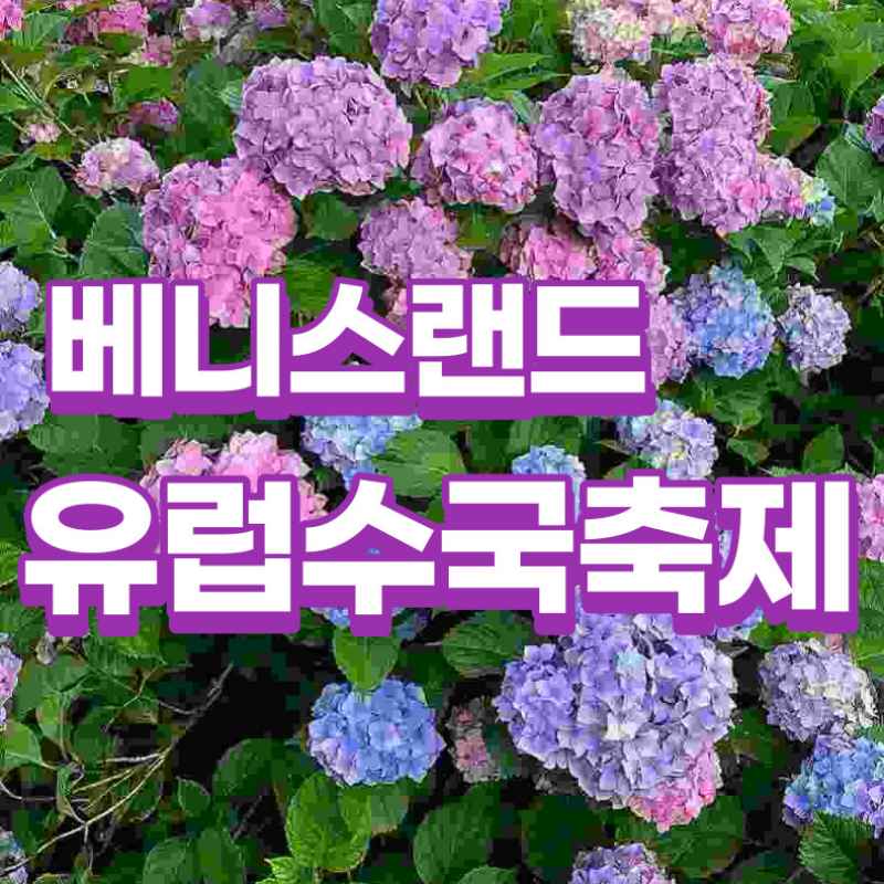 베니스랜드 유럽수국축제