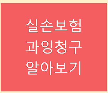 실손보험 과잉청구