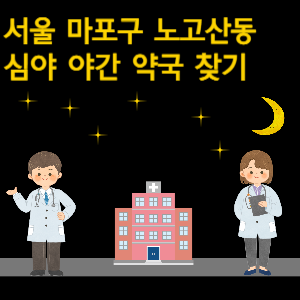 서울 마포구 노고산동 심야 야간 24시 약국 찾기