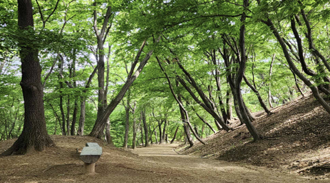 화성 융건릉