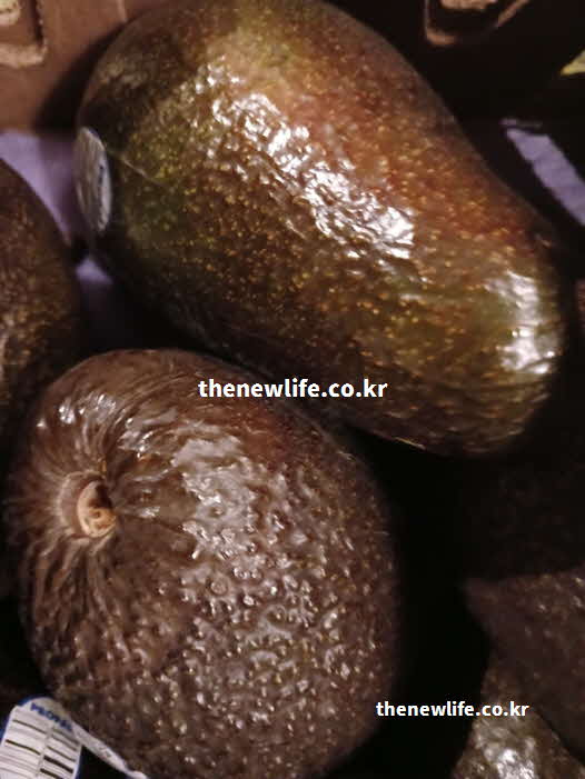 아보카도 효능 고지혈증 개선 올레산