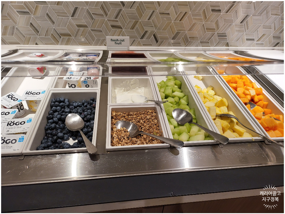 홀리데이 인 토론토