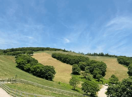 평창 가볼만한곳