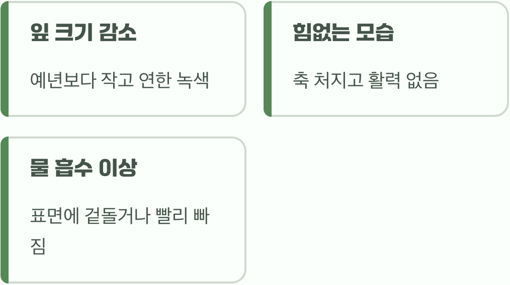 꽃이 아닌 잎이 보내는 신호