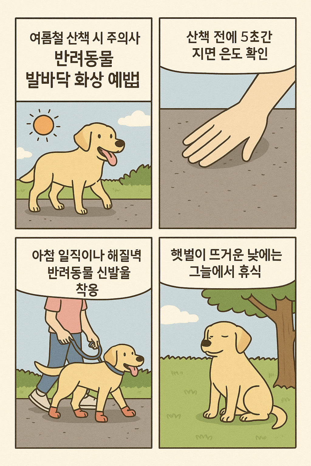 여름철 반려견 산책 시 주의사항
