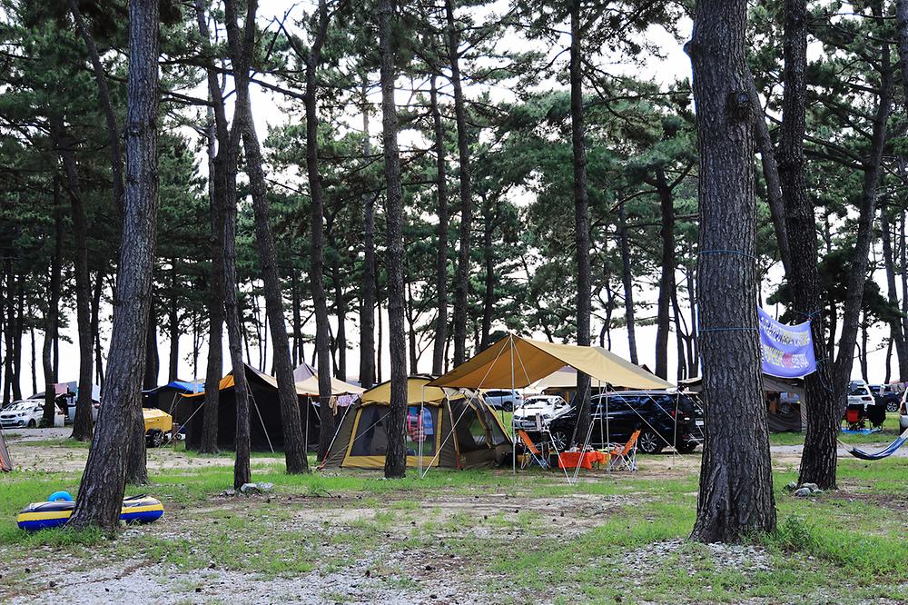 전북 고창 구시포 노을캠핑장 소개