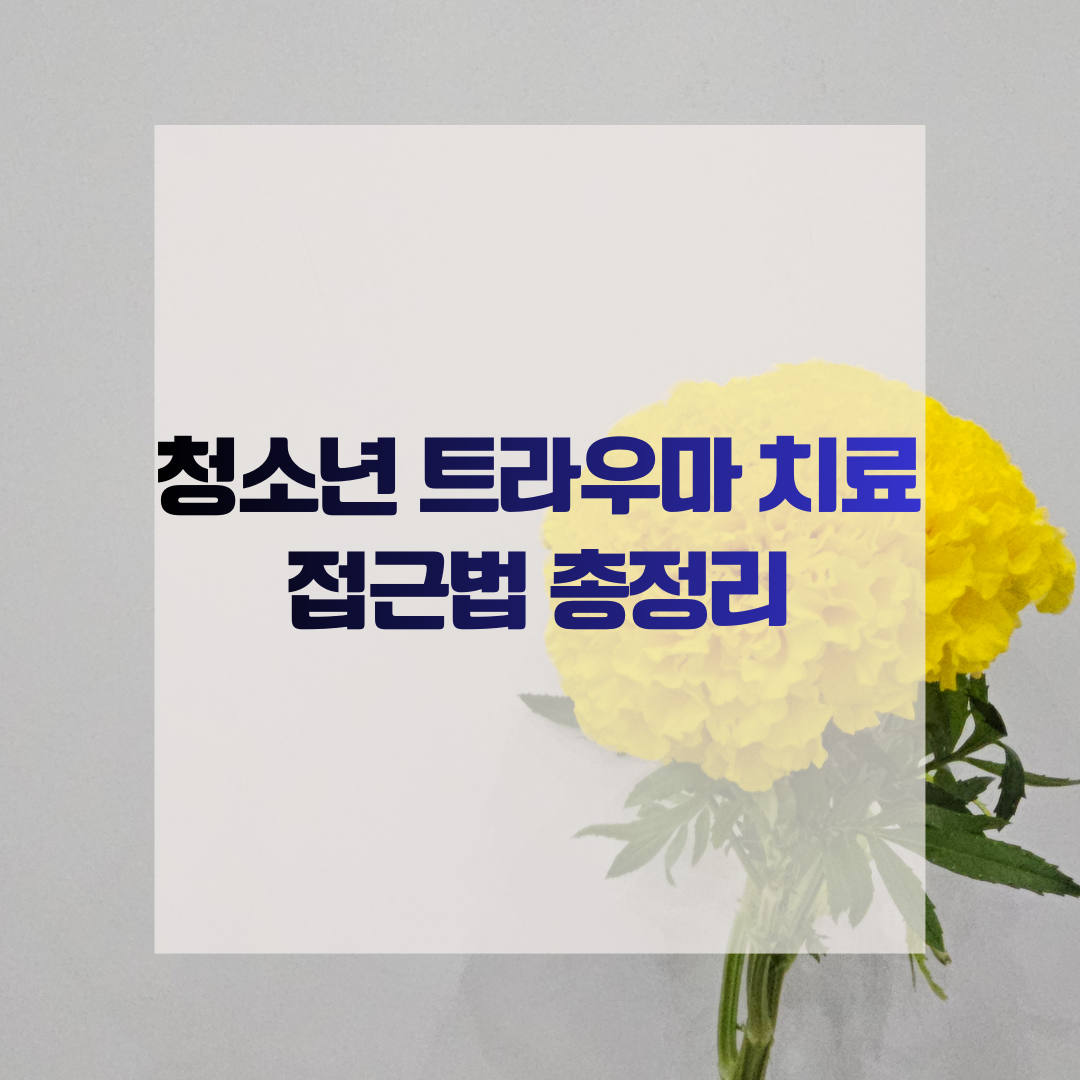 청소년 트라우마 치료 접근법 총정리