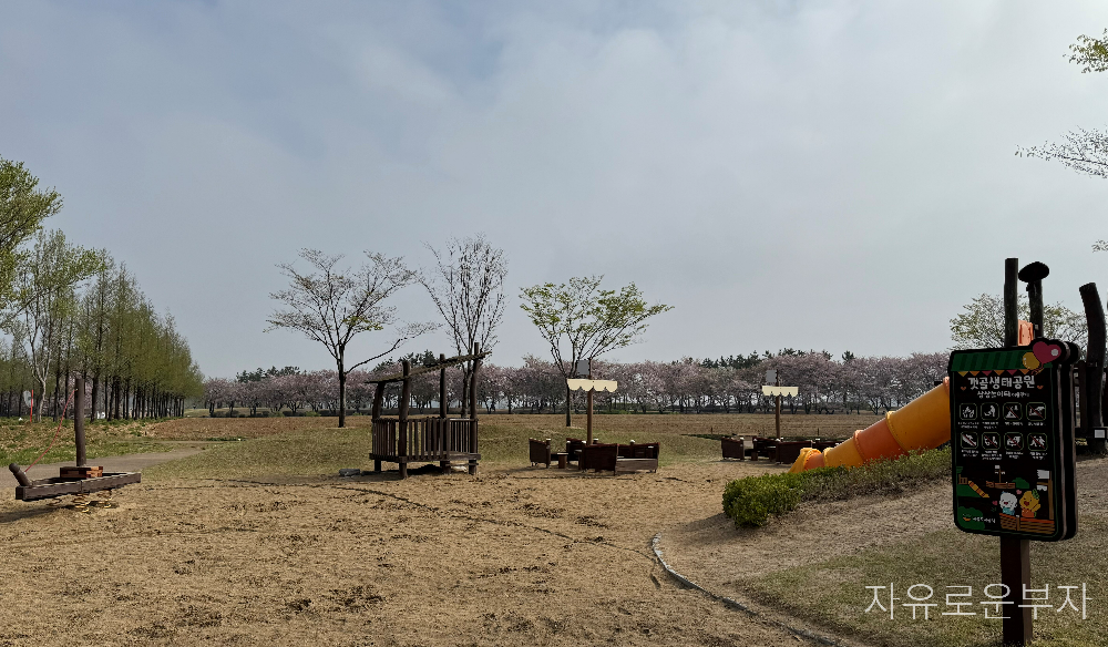 시흥갯골생태공원 명소
