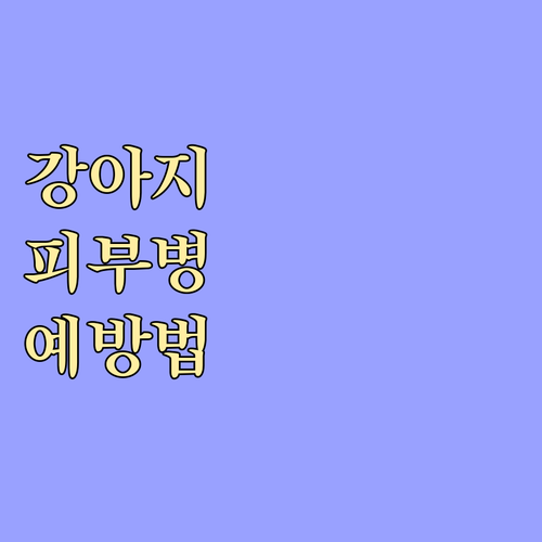 강아지 피부병 예방, 이것만 기억하세
