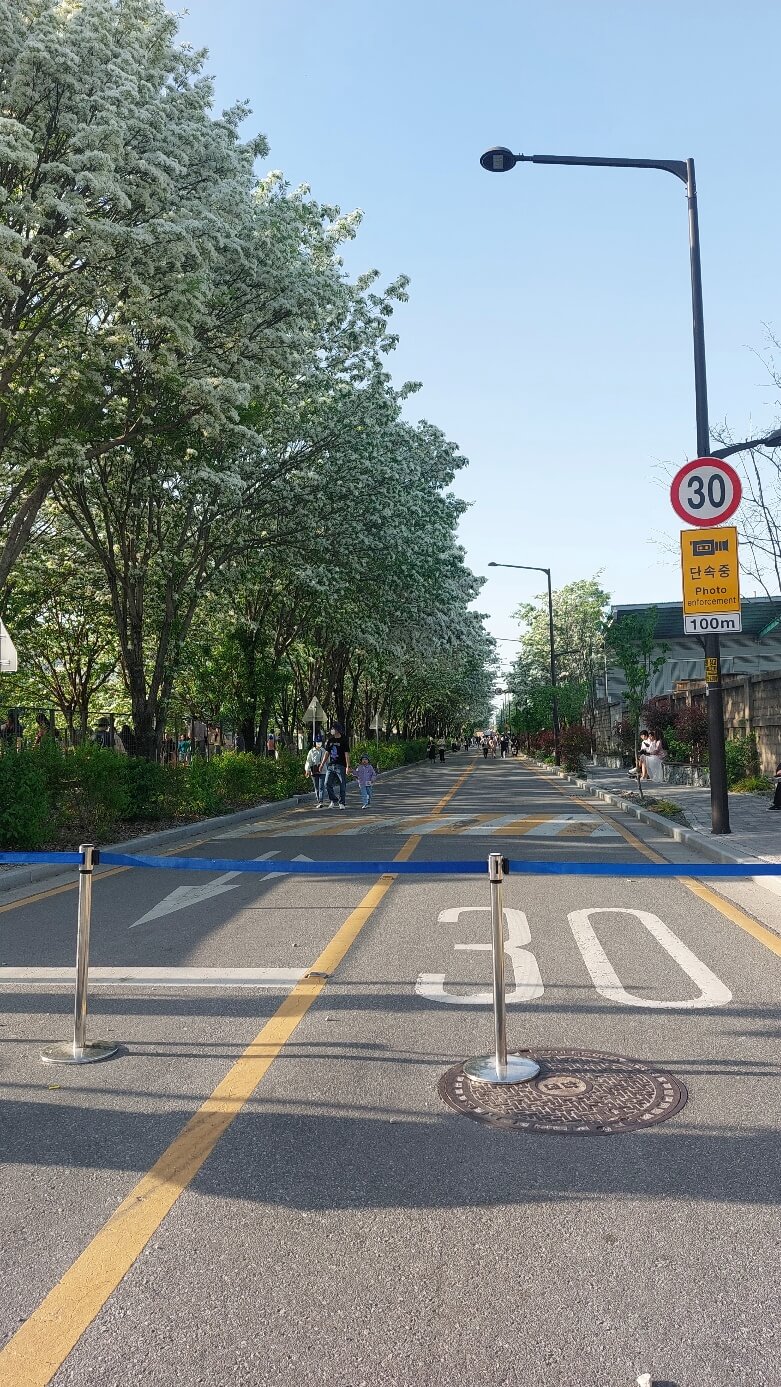 도로 차량 통제