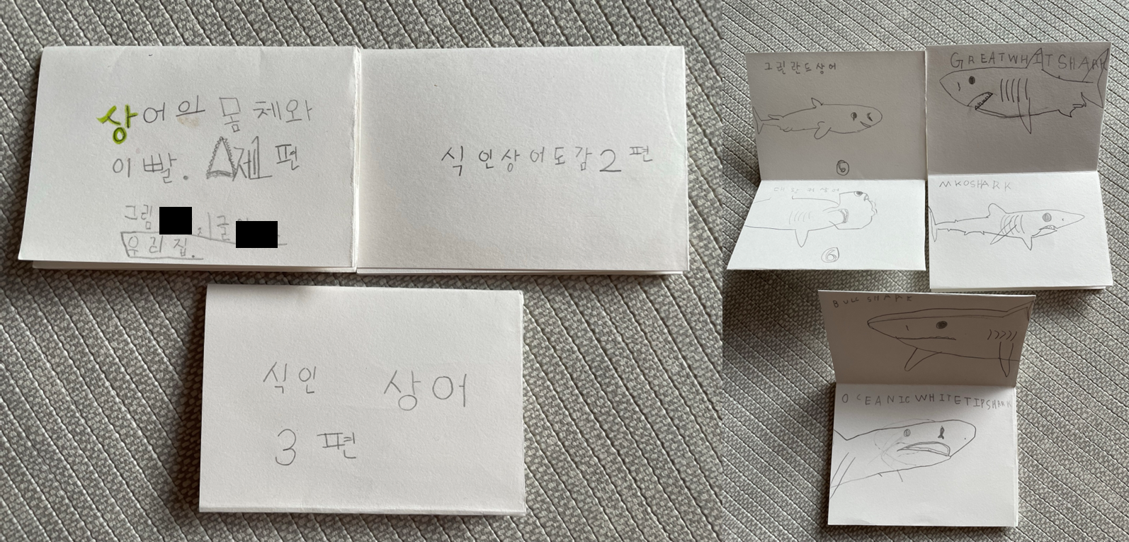 아들이 만든 상어책