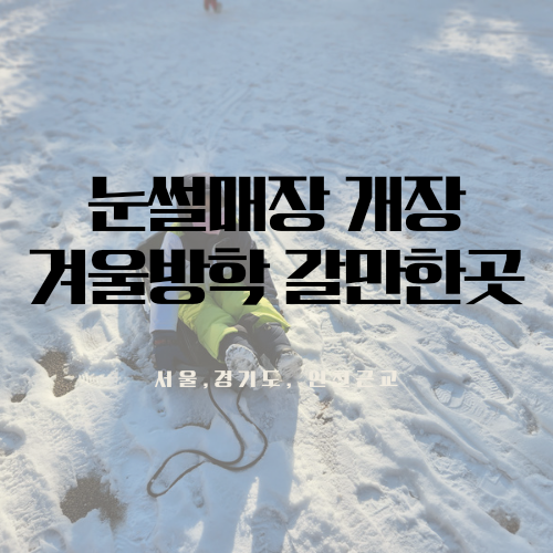 눈썰매장 개장 겨울방학 갈만한곳 정리했어요