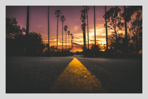 러브버그 방역법