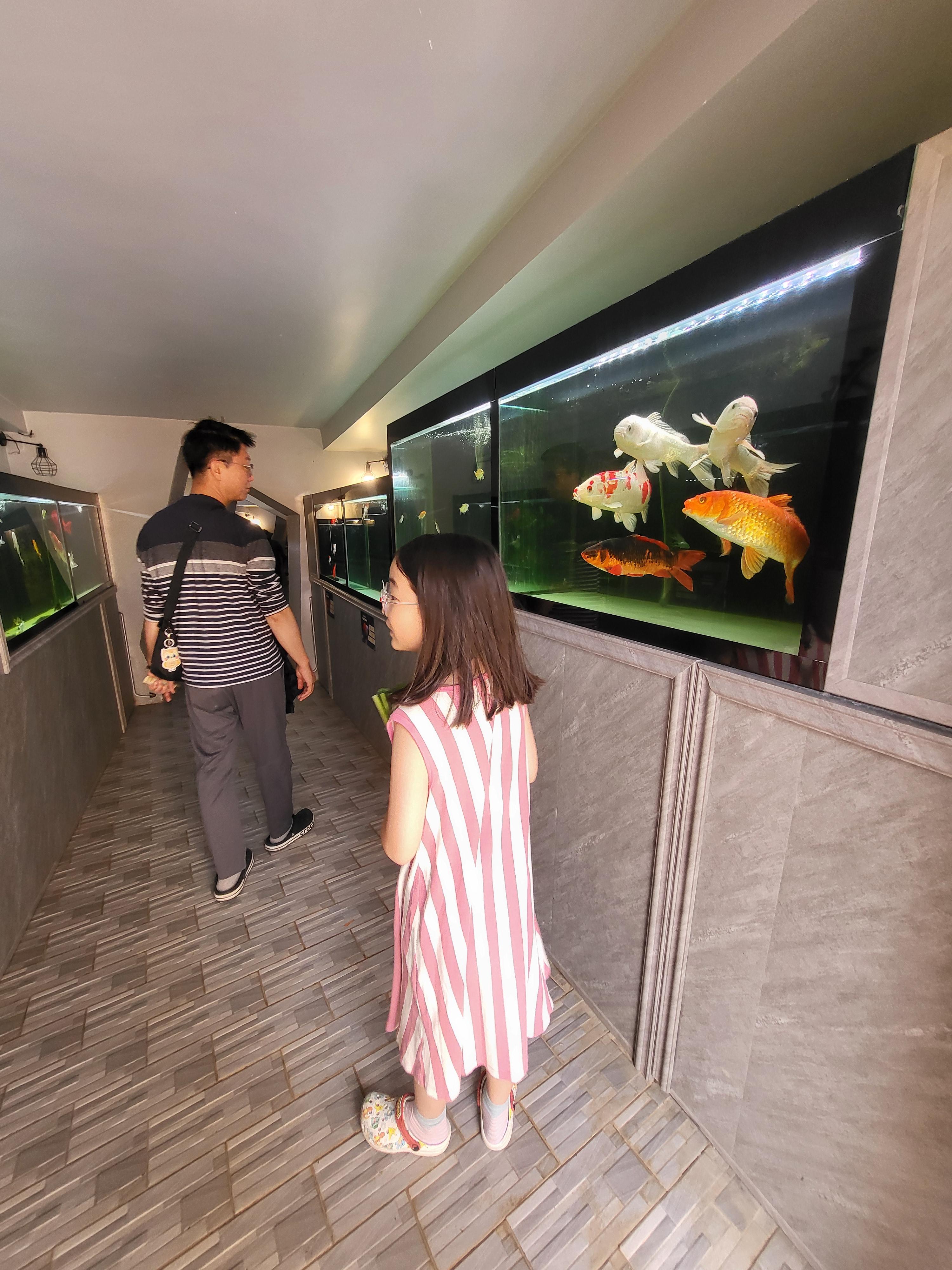 [달랏 여행] 꽃의 도시를 만나다! &amp;#39;플라워 가든&amp;#39; 붉은 베고니아 꽃밭 &amp; 미니 동물원(초3 아이 동반)