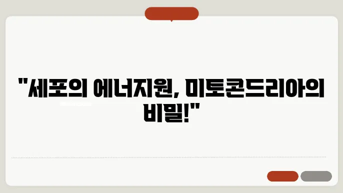 미토콘드리아