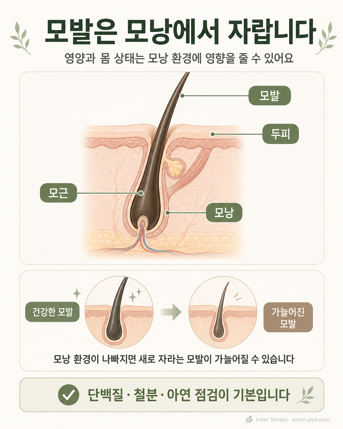모발 건강과 모낭 환경 변화
