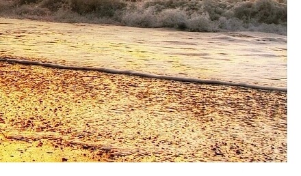 근로자휴가지원