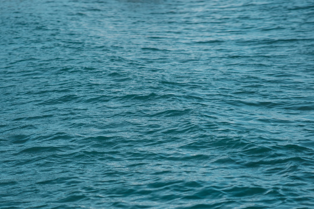 tide