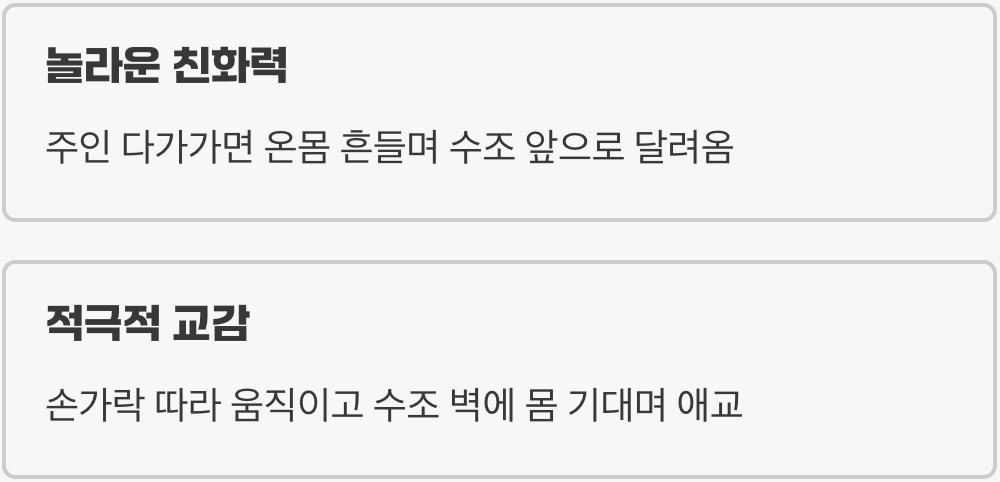 나만 졸졸 따라다니는 물속의 강아지