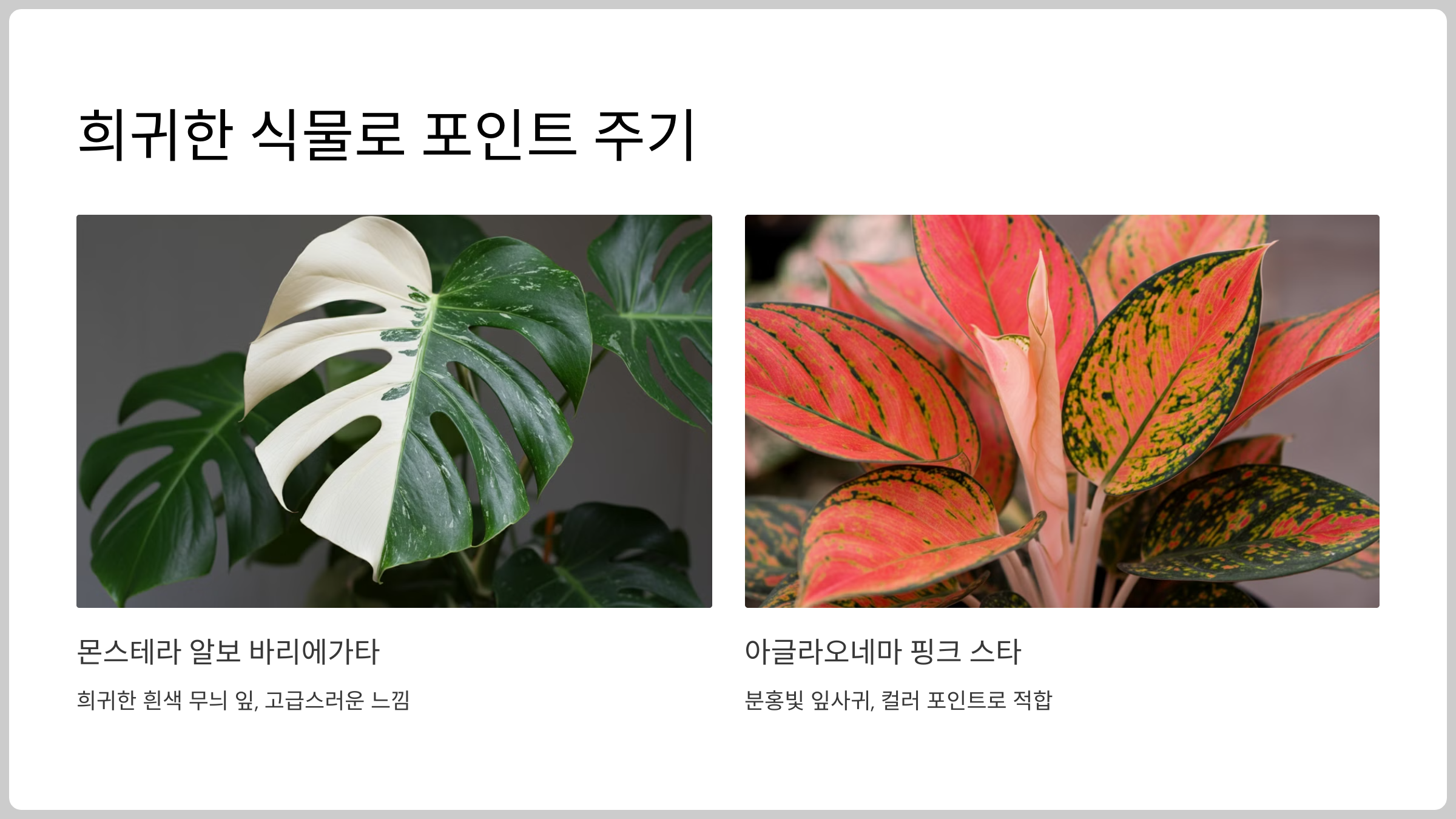 희귀한 식물로 포인트를 주기