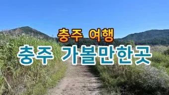 충주 가볼만한곳 베스트10 현지인 추천 필수코스_3