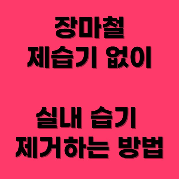 장마철 습기 제거 하는 방법 섬네일 사진