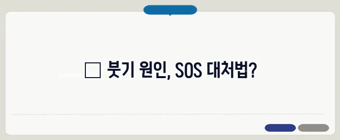 눈이 붓는 증상 원인과 대처법 (+생활팁)