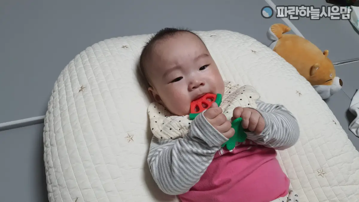 베니앙 수박 치발기