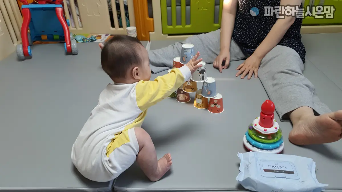 이지앤 동물 종이컵