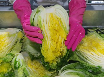 슬기로운 청년농부생활