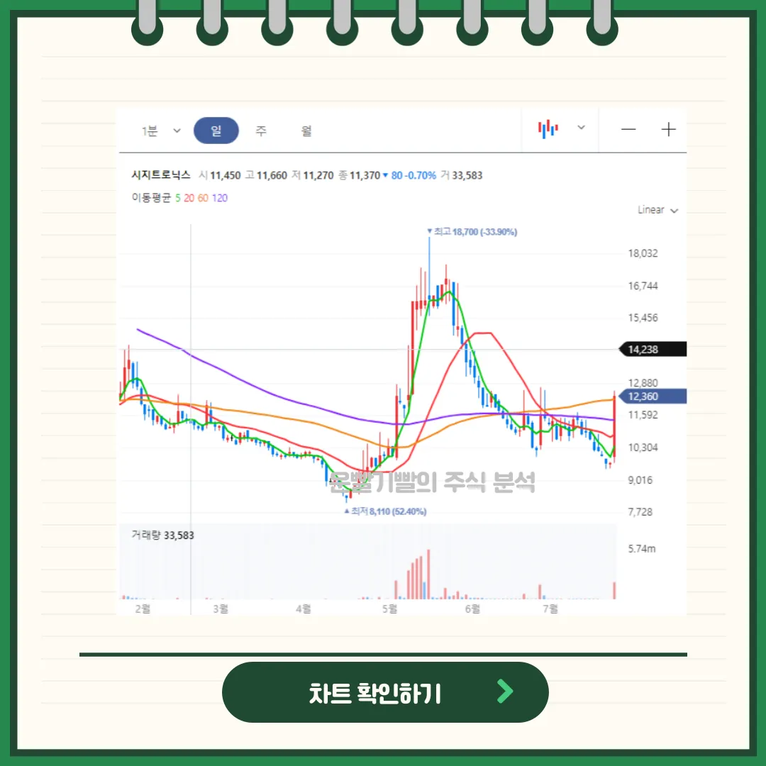 시지트로닉스 차트분석