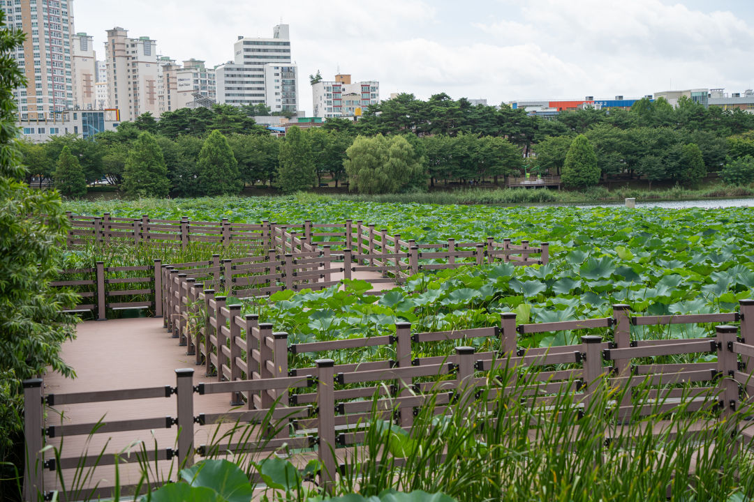 만석공원 산책로