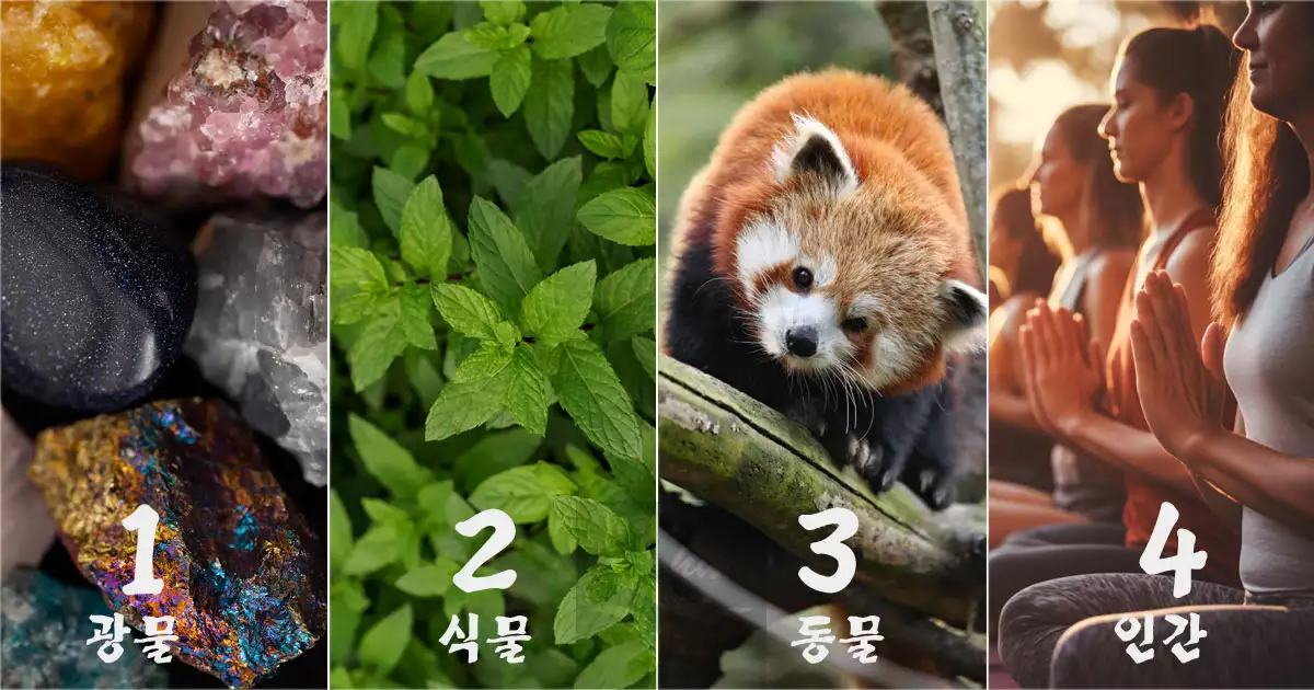 1234 숫자의 의미