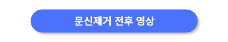 버튼
