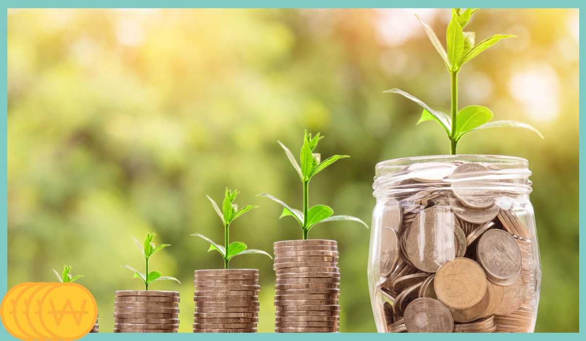 기후동행카드 발급 구매